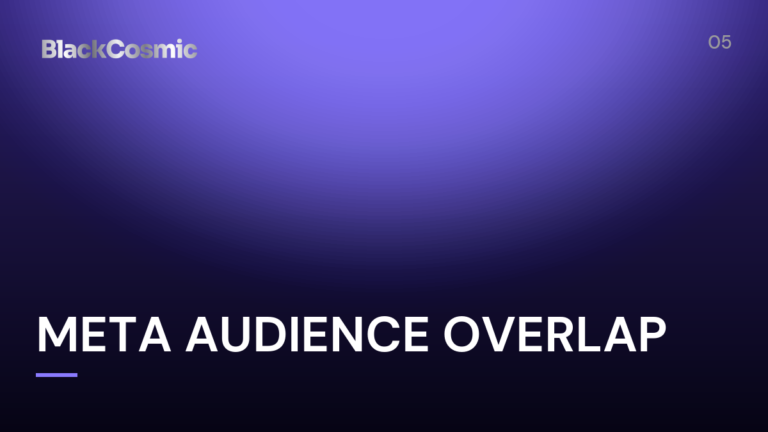 Meta Audience Overlap